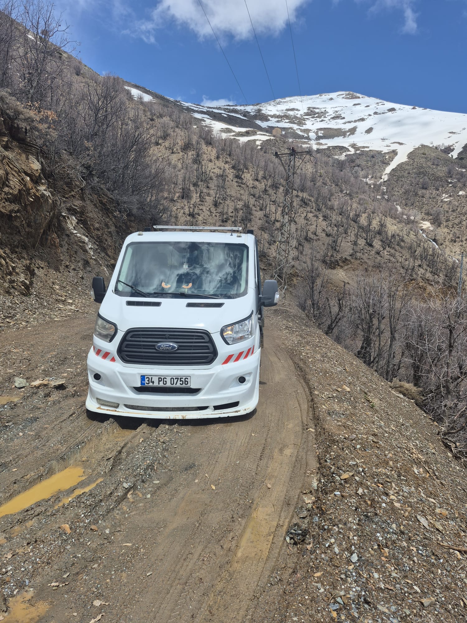 Tatvan oto çekici